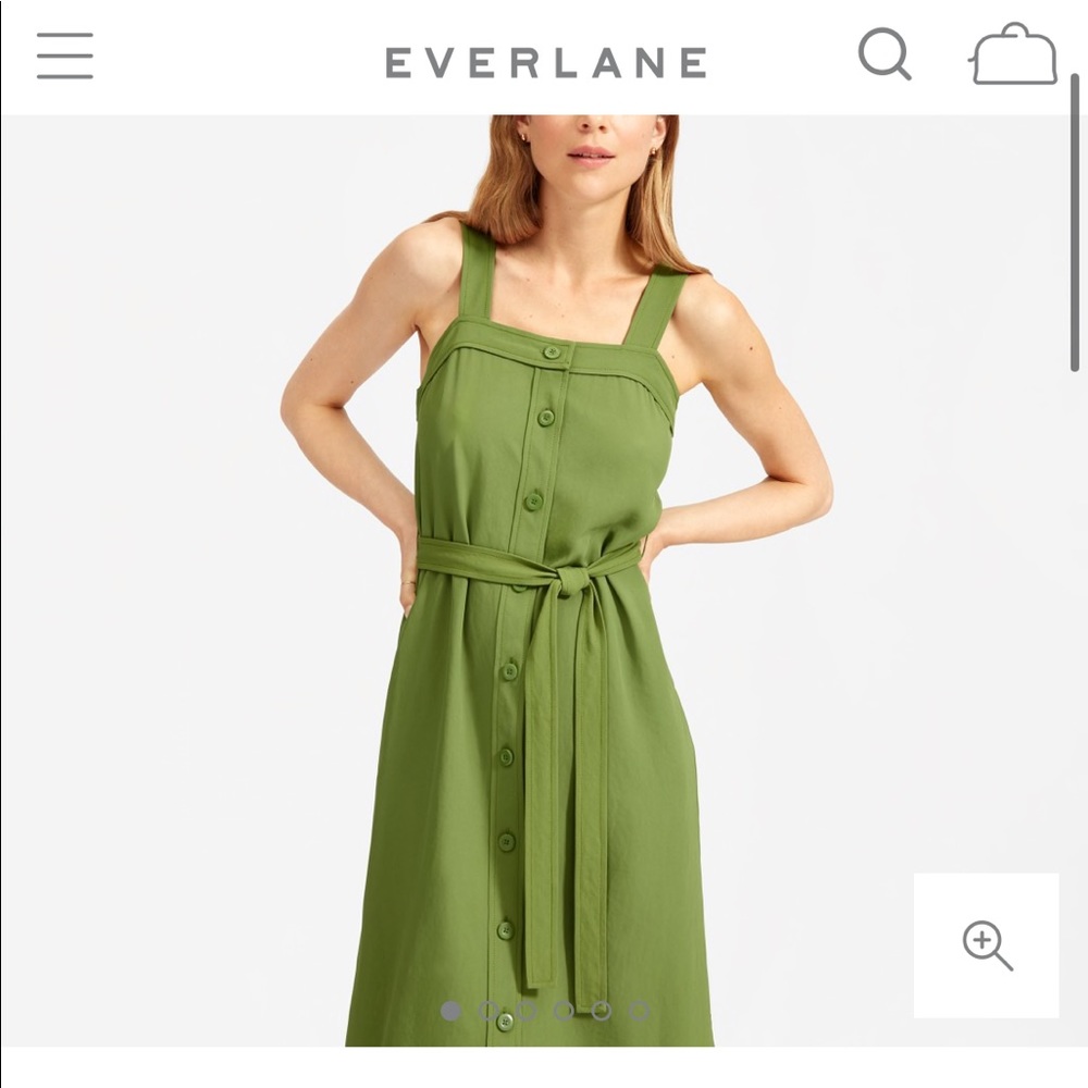 Everlane Japanese Picnic Dress